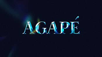 Leaders in Our FieldYears of training years of experience and a commitment to excellence have ea