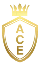 ACE CDL Institute is a 501c3 minority owned and operated organization located in the city of Fairfie